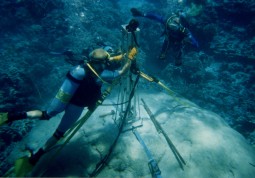 Scientists drilling a coral sample from Jarvis Island. Photo credit: Julia Cole