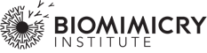 Institute_logo_banner