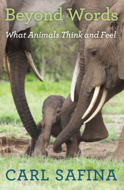 HANDOUT IMAGE: "Beyond Words: What Animals Think and Feel" by Carl Safina (credit: Henry Holt) ***ONE TIME USE ONLY. NOT FOR RESALE