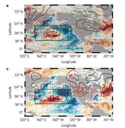 credit Karen McKinnon - Pacific ocean and atmosphere can predict a heat wave in the Eastern US. 