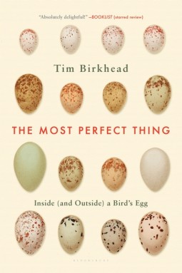 The Most Perfect Thing Book Cover