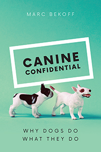 CanineConfiidential