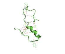 Human amyloid beta peptide on Wikimedia