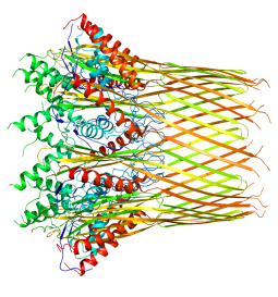 Curli Protein artists rendition cc Wikimedia