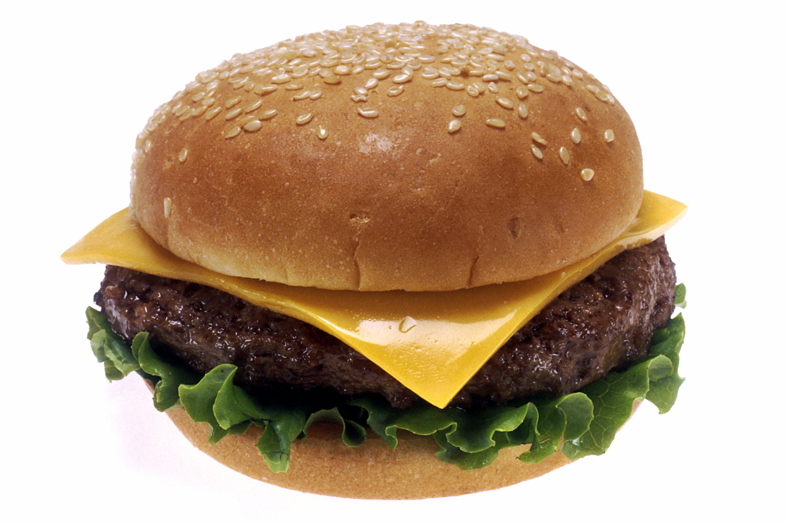 Ron Krauss:  Saturated Fat and Red Meat?  It Depends