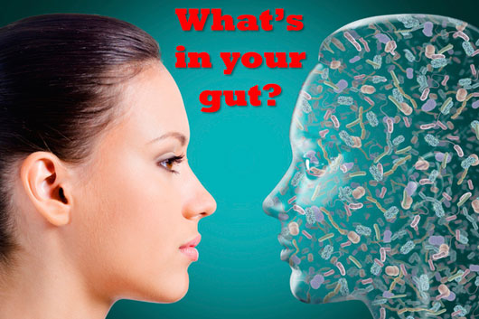 Gut Microbes and Autoimmune Disease // What’s in YOUR Gut? The American Gut Project