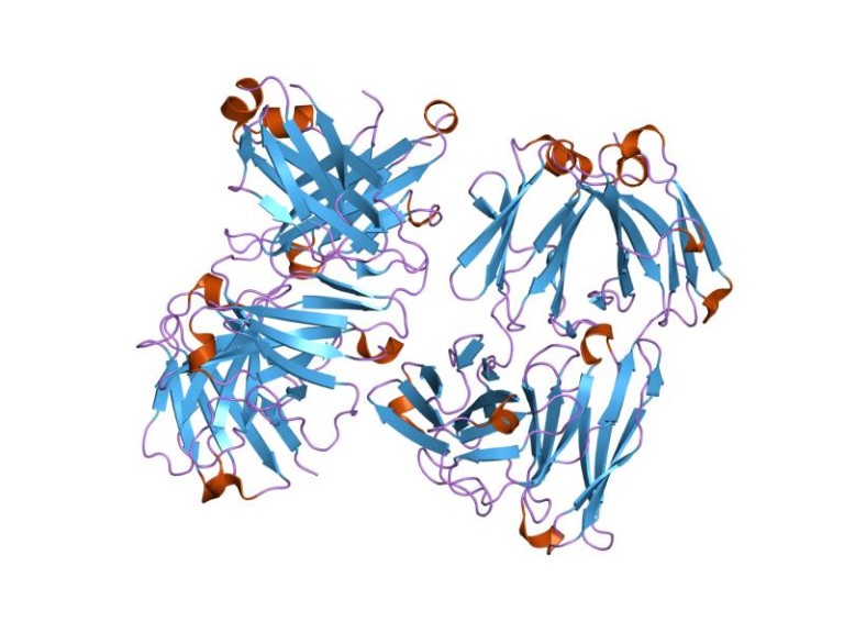 Mutant Proteins // Future Technologies – How On Earth