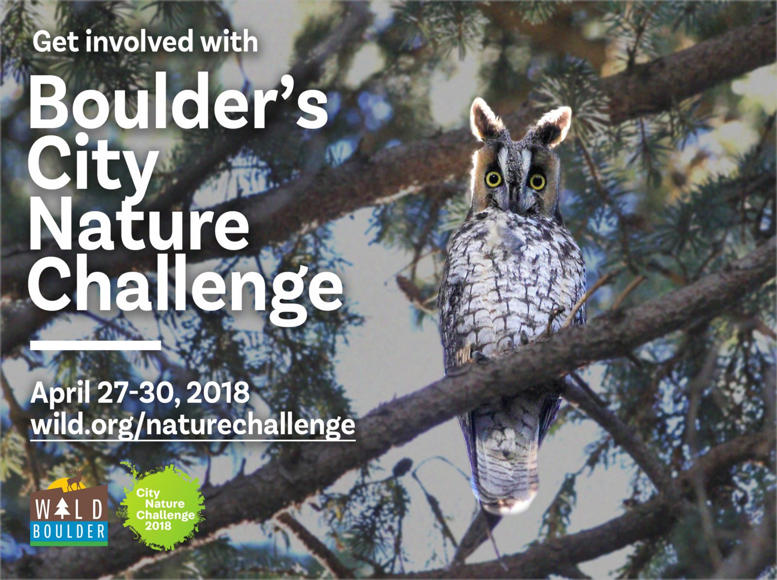 City Nature Challenge BioBlitz Citizen Science enhanced with iNaturalist