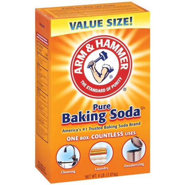 Baking Soda for Autoimmune Disease // Crickets for the Gut