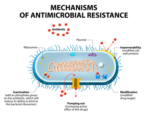 Tagging the Bugs that Carry Antibiotic Resistance – How On Earth