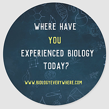 The Nature of Science // Biology is Everywhere!